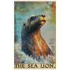 Sea Lions Sea Lion
