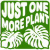Juste une plante de plus - Monstera
