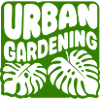 urban gardening - Monstera