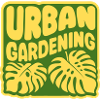 urban gardening - Monstera
