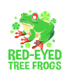 Frosch Laubfrosch