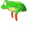 Frog Tree Frog