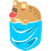 Desert Rain Frog Frosch