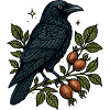Night crow on berry vine