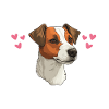 Pyjama Chien Jack Russell Humour
