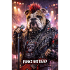 RockyZoo16