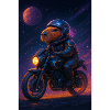 RockyZoo19