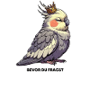 Before You Ask Cockatiel Cockatiels
