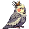 Calopsitte Calopsitte Calopsitte Oiseau calopsitte