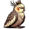 Calopsitte Calopsitte Calopsitte Oiseau calopsitte