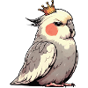 Calopsitte Calopsitte Calopsitte Oiseau calopsitte