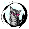 Cool Cat – Pink Sunglasses Retro Art Combo