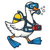 Diver Duck with Camera