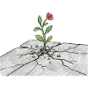 Germ of life on cracks
