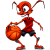 Ants Basketball