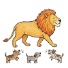 Lion Who Ignores Dog Barking