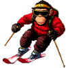 Monkey Ski