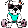 Fitness Dogs