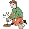 Young Gardener Plants a Shoot