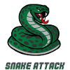 Snake Workout