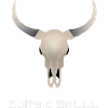 Buffalo Skull