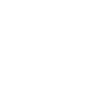 Dotted geometric Raccoon design