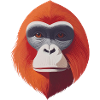Orangutan Art Portrait