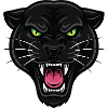 Panthère Noire Yeux Verts Force