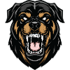 Rottweiler Alpha Guardian Dog Strength