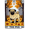 Mops-Tarot im Herbstwald