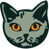 Cat / Male "British Shorthair"