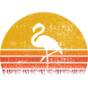 Flamingo at sunset