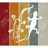 Gecko Farbstreifen