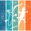 Geckos in rainbow stripes