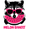 Raccoon Bandit – Sunglasses & Melon