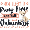 Chihuahua Chihuahueño Most Likely