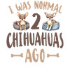 Chihuahua Chihuahueño J’étais normal