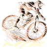 MTB