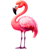 Flamingo
