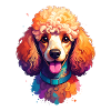 Poodle