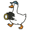 Duck with Camera Photography Enthusiast