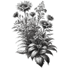 Gray Botanical Flower Bouquet Illustration