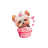 Lustige Yorkshire-Hundepyjamas 