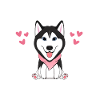Funny Husky Dog Pajamas