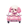 Dog Pajamas Poodle Humor