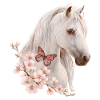 Cheval avec papillon