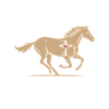 Born To Ride Horse Freedom Design
