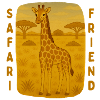 Girafe dans la savane dorée
