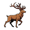 Wild Deer Nature Race Forest