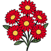 Flower Red Red Flower Flowers Daisies